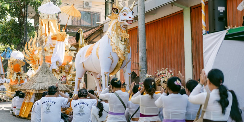 Traditional Balinese ceremony with offerings during Tumpek Kandang festivals in Bali.