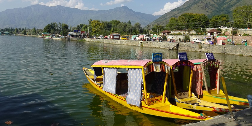 The boats are docked at the shore beside a lake in Van Vihar National Park.