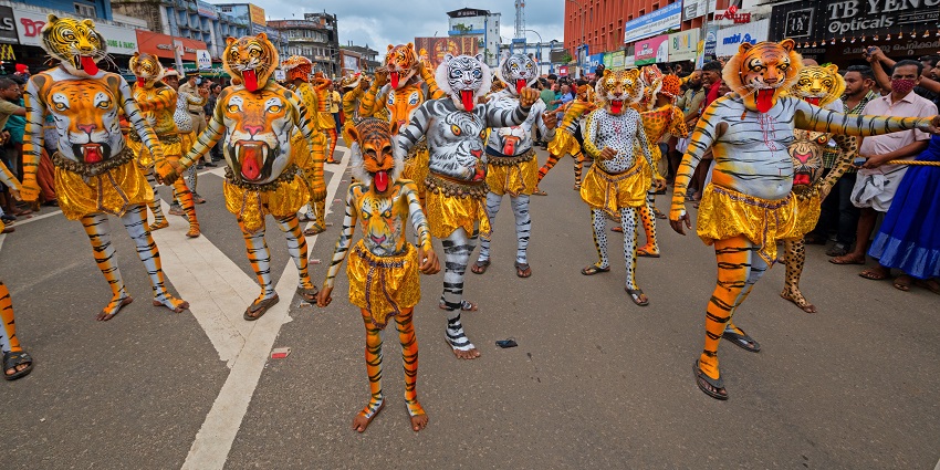 Witness Pulikali, the traditional tiger dance at the harvest festival of Kerala.
