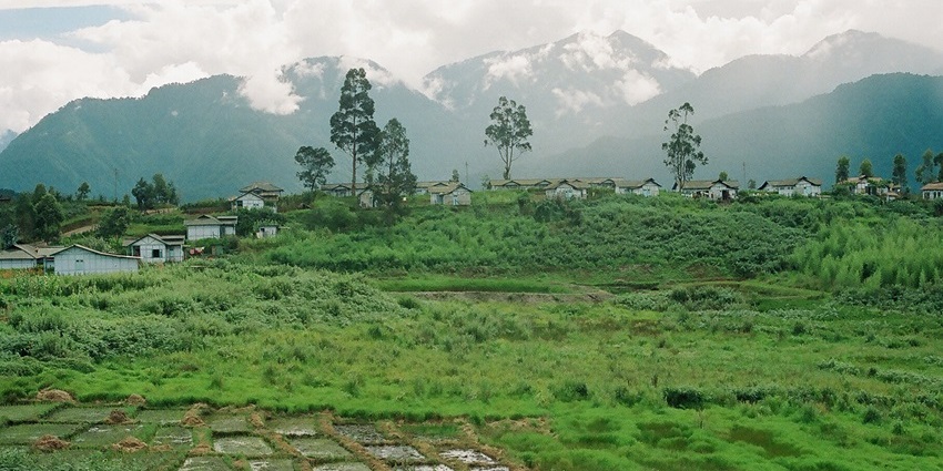 A stunning view of Anini featuring lush green terraced fields and majestic mountains.