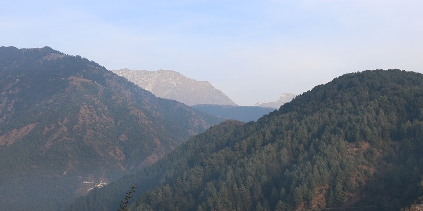 Aerial view of green forested hills in Kasauli under a clear blue sky with distant peaks.