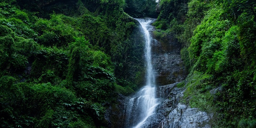 Chadwick Falls cascading through a rocky cliff surrounded by dense green forest in Shimla.