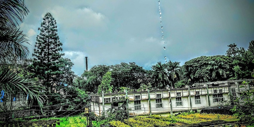 Water droplets fall from the sky over a white, ageing building surrounded by lush trees.