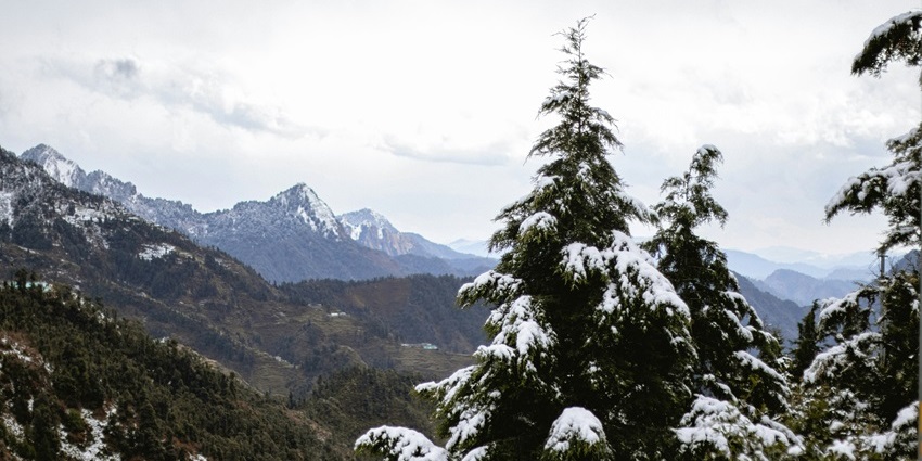 Dhanaulti is a quaint place, offering memorable snow experiences away from crowds.