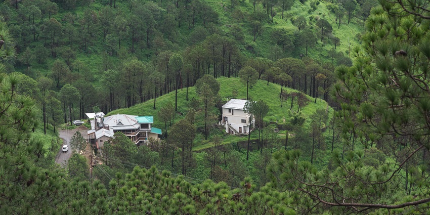 Lush green meadows and dense forests under overcast skies in Kasauli, India.