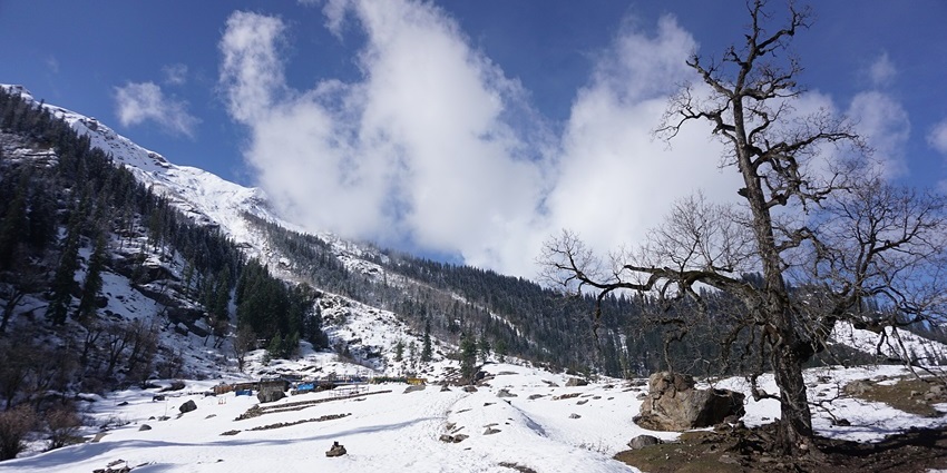 Snow-covered Kheerganga valley in Himachal Pradesh, with pine forests and clear blue sky
