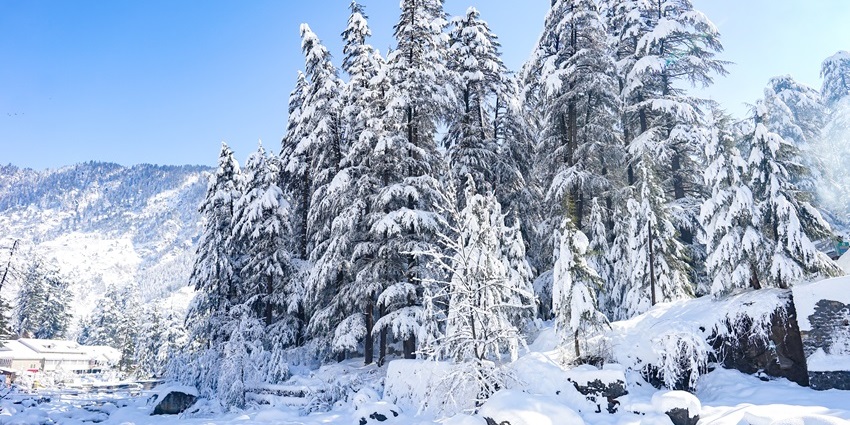 Snow-covered Old Manali with frozen Beas River and pine trees during winter.