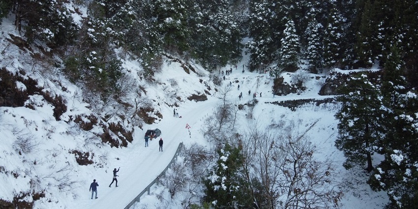 Image of People playing in the snow near Himalaya Darshan, Nainital