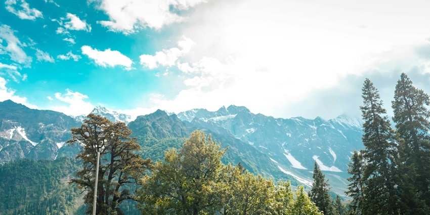 Enjoy capturing breathtaking vistas of snow-laden mountains and the surrounding pine trees.