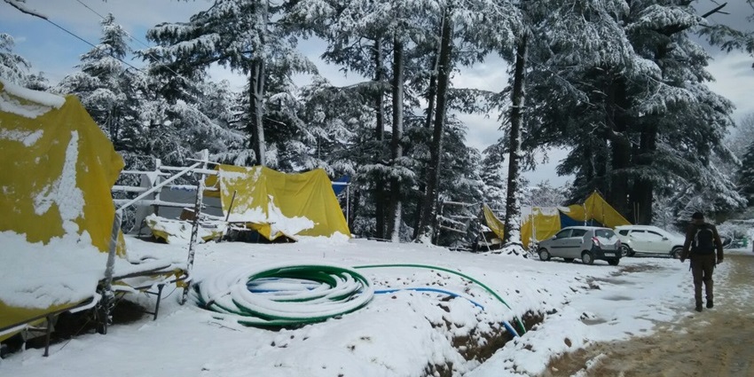 Shimla is a classic winter hill station, featuring colonial history and exciting winter activities.