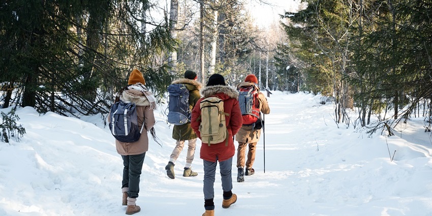 An image of group of four young people with backpacks walking on a forest trail.