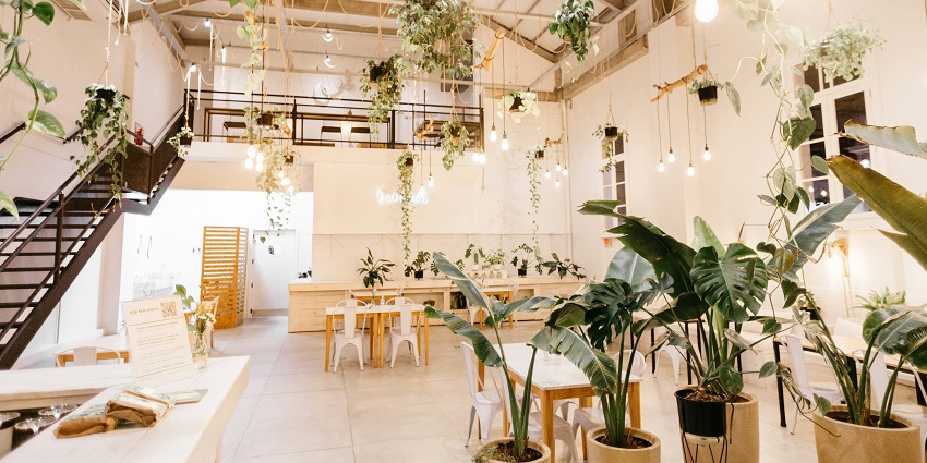 The Brew Room interior with hanging plants, chairs, and tables, one of the top couple restaurants in Dibrugarh.
