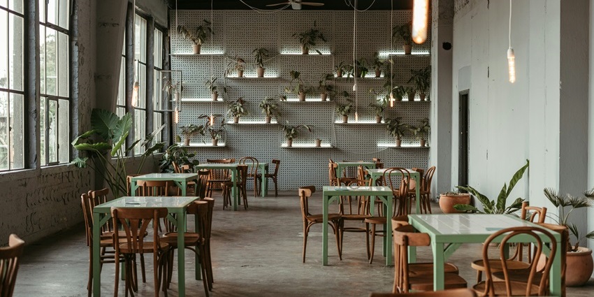 Interior of The Local Cafe with wooden tables, chairs, and plants decorating the wall.