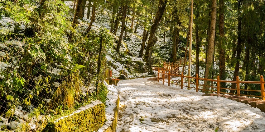 Trekking through snow-covered forest trails leading to Jakhoo Temple atop Shimla hill.