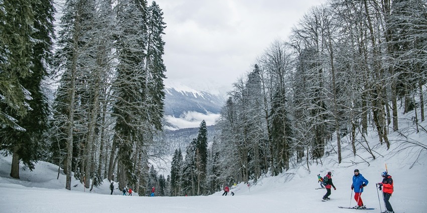 Skiing during snowfall in Shimla with snow-covered slopes and winter sports enthusiasts.