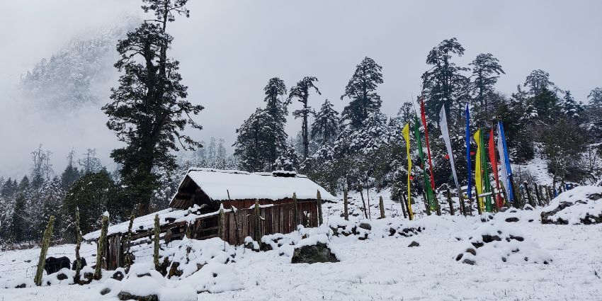 A breathtaking view of the beautiful snow covered Yumthang Valley in winter season.